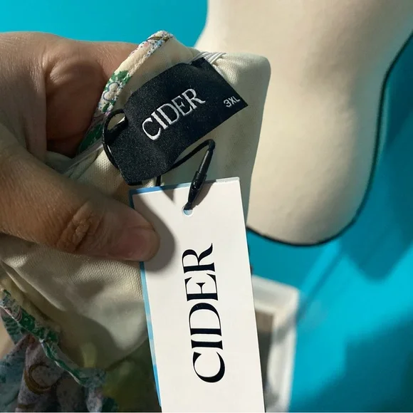 CM NWT Cider Plus 3X Boho Paisley High Low V-Neck Short Sleeve Green Pink Dress - Picture 7 of 7